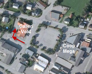 Galleri Vold - Oljemaleri.com - Lyngblomen 1 - Vigrestad